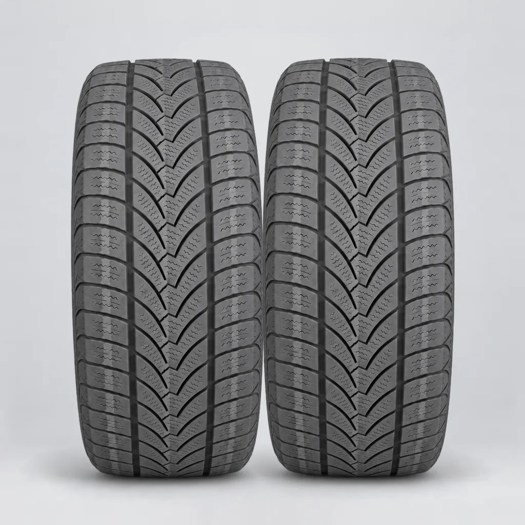 PLATIN RP60 WINTER, 2 gomme, battistrada 5 mm
