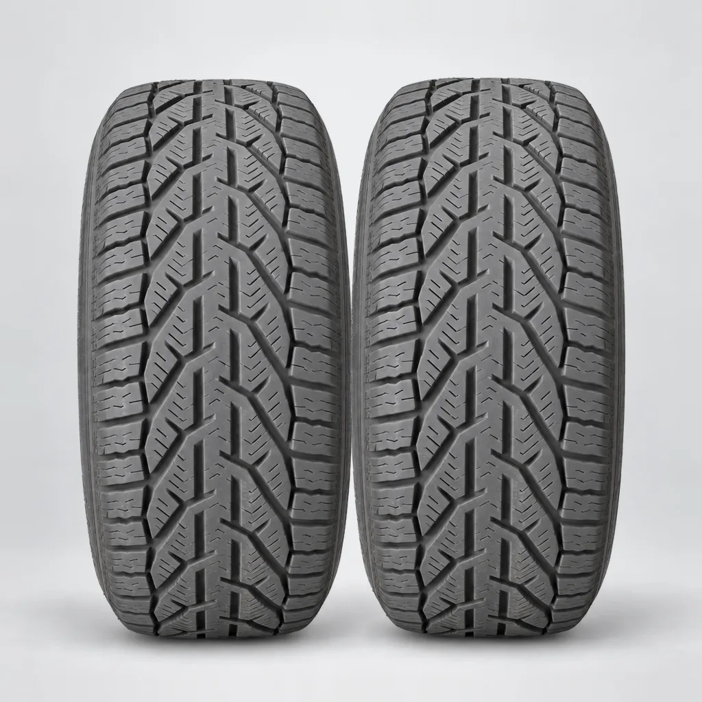 TAURUS WINTER, 2 gomme, battistrada 5 mm