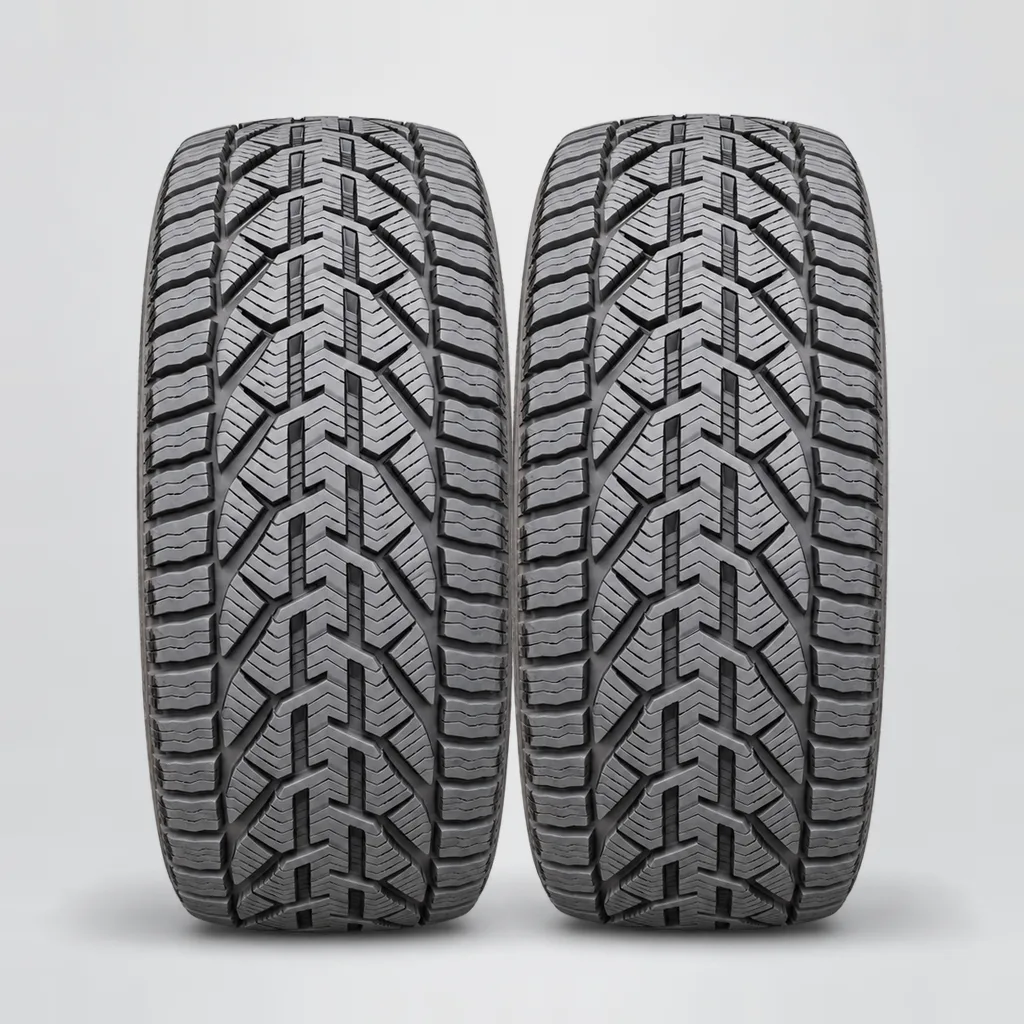 TIGAR WINTER, 2 gomme, battistrada 8 mm