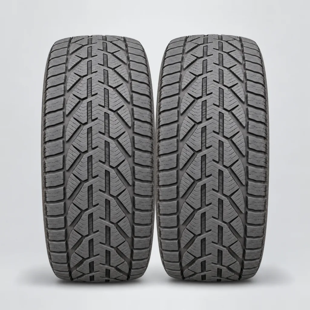 TIGAR WINTER, 2 gomme, battistrada 6 mm