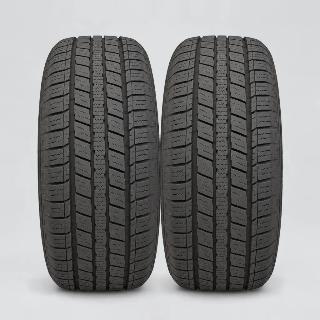 TRACMAX ICE-PLUS S110, 2 gomme, battistrada 6 mm